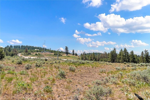 102 Blubird Ln, East Wenatchee, WA 98802 - photo 37