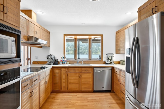 18 Far Summit Pl, Bellingham, WA 98229 - photo 11