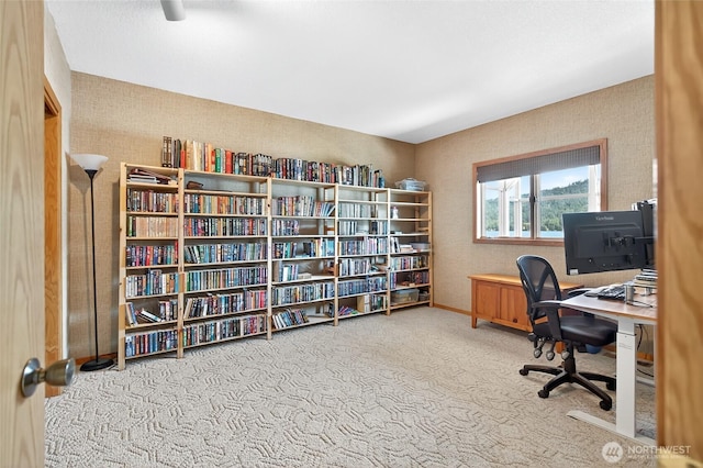 18 Far Summit Pl, Bellingham, WA 98229 - photo 26