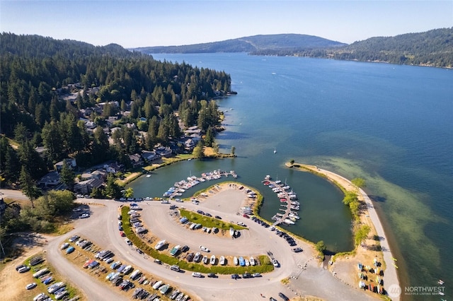 18 Far Summit Pl, Bellingham, WA 98229 - photo 40