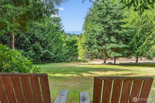 18345 Osprey Ct, Mount Vernon, WA 98274 - photo 35
