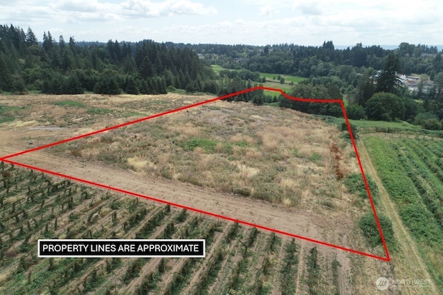 0 NW 53rd Ave, Ridgefield, WA 98642 - photo 1
