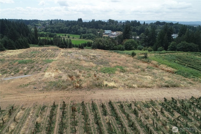 0 NW 53rd Ave, Ridgefield, WA 98642 - photo 3