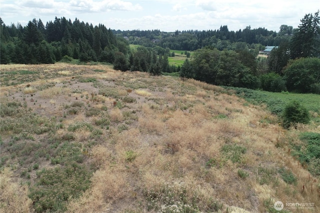 0 NW 53rd Ave, Ridgefield, WA 98642 - photo 6