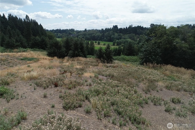 0 NW 53rd Ave, Ridgefield, WA 98642 - photo 15