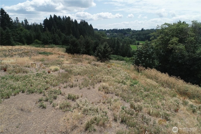 0 NW 53rd Ave, Ridgefield, WA 98642 - photo 16