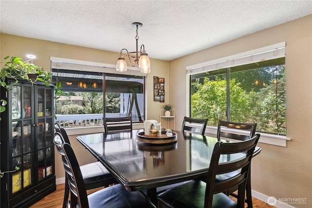 9102 149th St NW, Gig Harbor, WA 98329 - photo 6