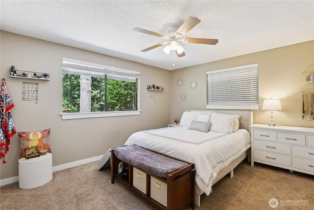 9102 149th St NW, Gig Harbor, WA 98329 - photo 16