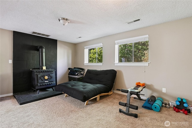 9102 149th St NW, Gig Harbor, WA 98329 - photo 20