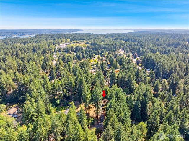 9102 149th St NW, Gig Harbor, WA 98329 - photo 36