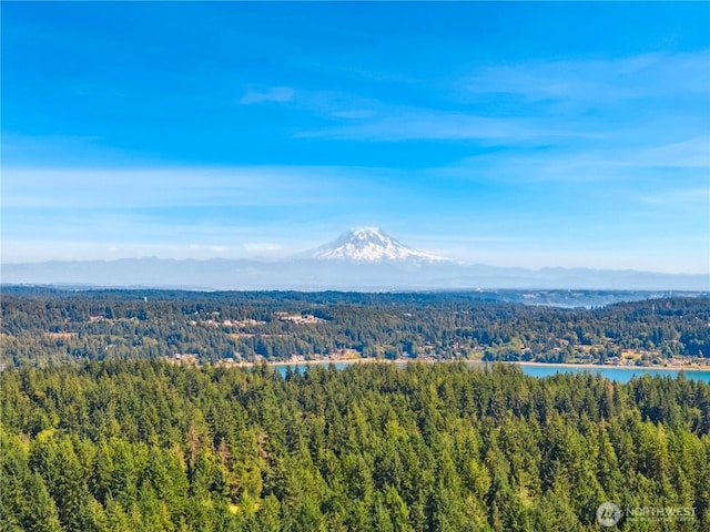 9102 149th St NW, Gig Harbor, WA 98329 - photo 38