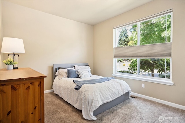3127 68th Ave SW, Tumwater, WA 98512 - photo 7