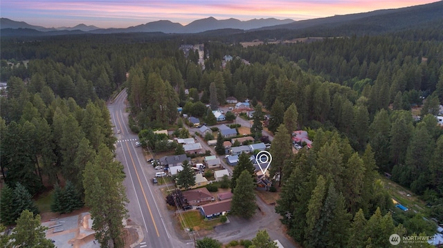 601 Roslyn Pl, Cle Elum, WA 98922 - photo 37