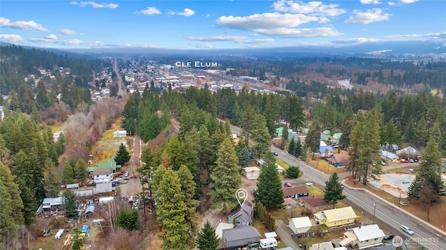 601 Roslyn Pl, Cle Elum, WA 98922 - photo 38