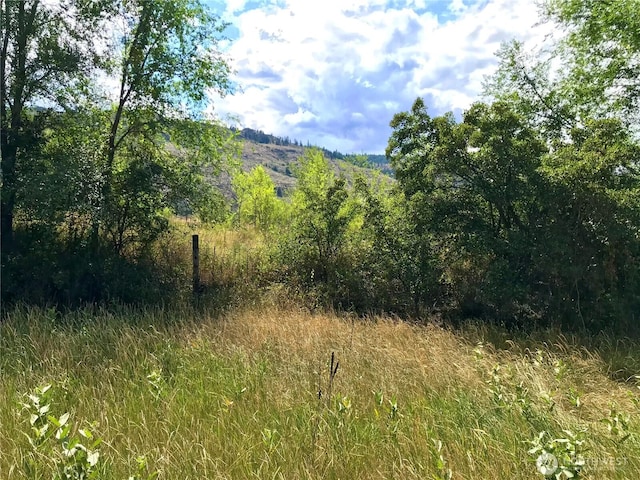 111TBD Redneck Rd, Oroville, WA 98844 - photo 6