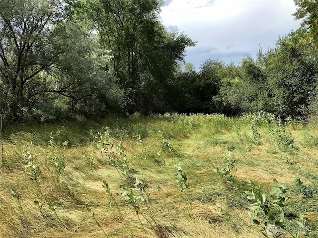 111TBD Redneck Rd, Oroville, WA 98844 - photo 10