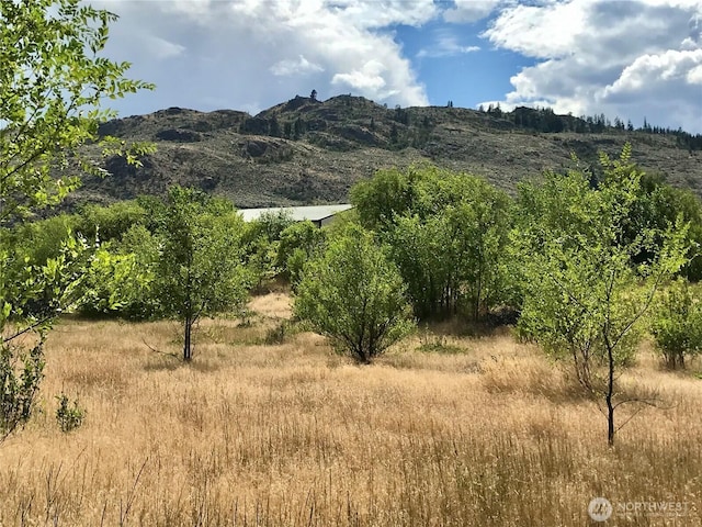 111TBD Redneck Rd, Oroville, WA 98844 - photo 11