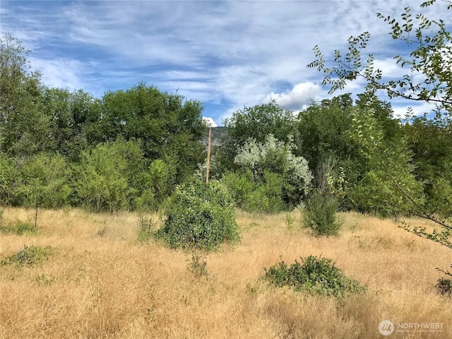 111TBD Redneck Rd, Oroville, WA 98844 - photo 15