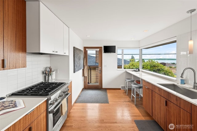 2209 NW 93rd St, Seattle, WA 98117 - photo 12