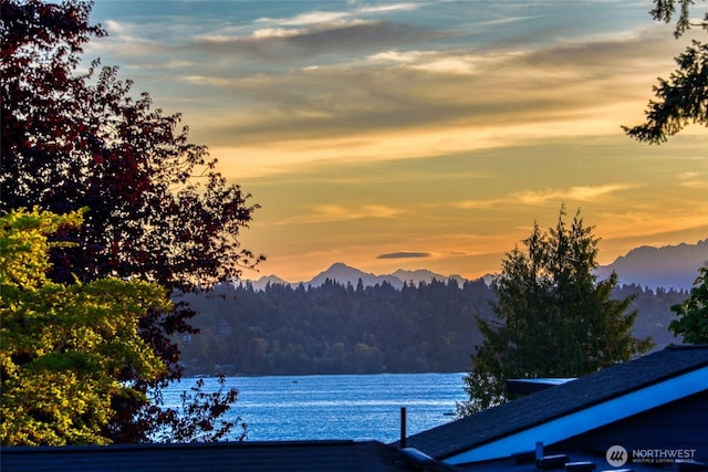 912 18th Ave W, Kirkland, WA 98033 - photo 35