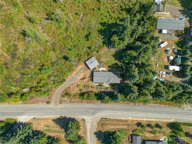 3231 E Rasor Rd, Belfair, WA 98528 - photo 3