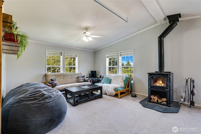 3231 E Rasor Rd, Belfair, WA 98528 - photo 11