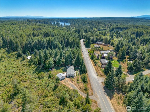 3231 E Rasor Rd, Belfair, WA 98528 - photo 23