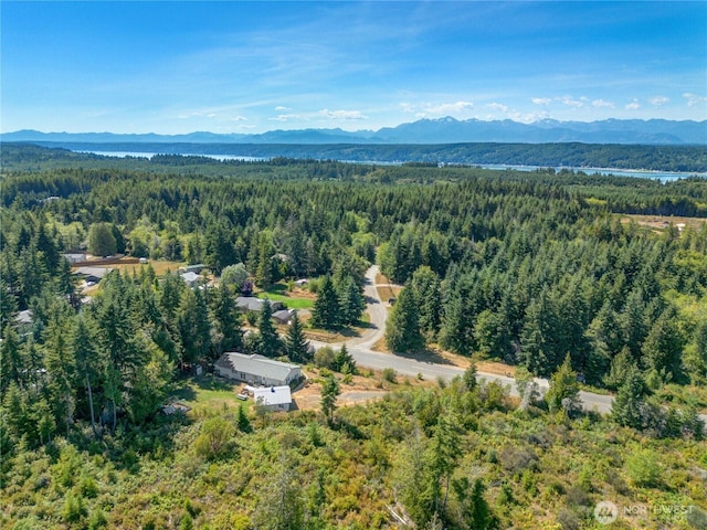 3231 E Rasor Rd, Belfair, WA 98528 - photo 24