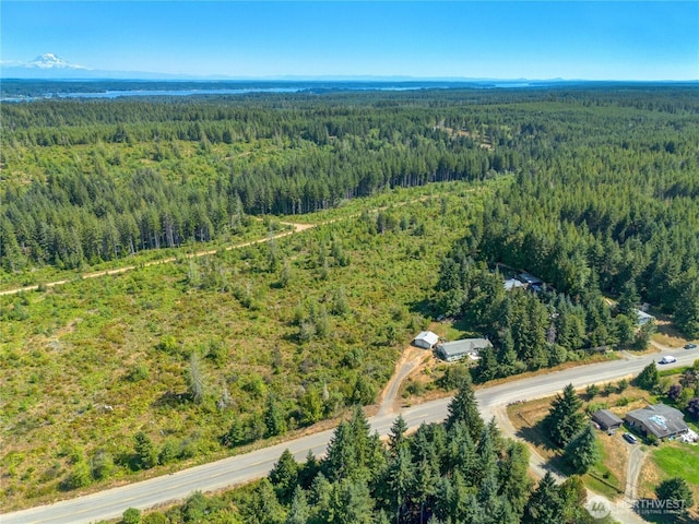 3231 E Rasor Rd, Belfair, WA 98528 - photo 25