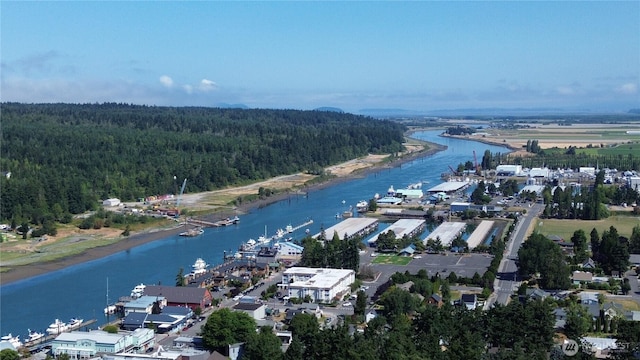 516 Myrtle St, La Conner, WA 98257 - photo 30