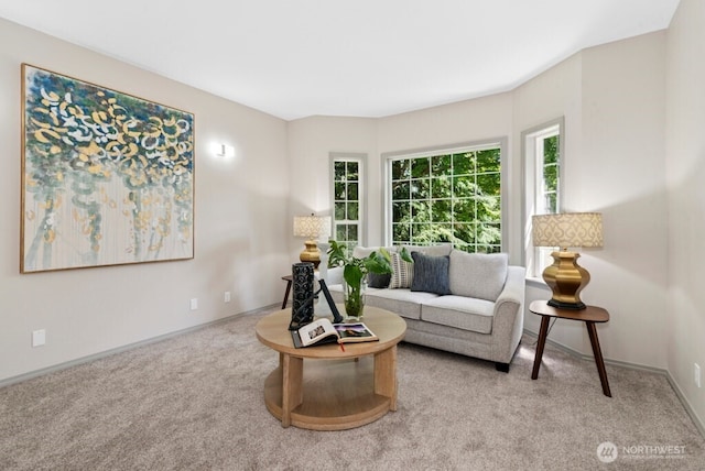 17659 202nd Pl NE, Woodinville, WA 98077 - photo 6