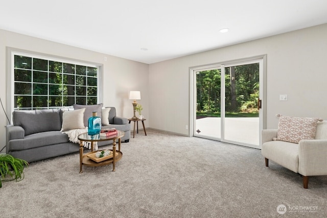 17659 202nd Pl NE, Woodinville, WA 98077 - photo 23