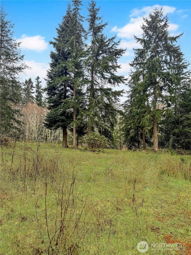 0 Prospect Prt, Hadlock, WA 98368 - photo 1