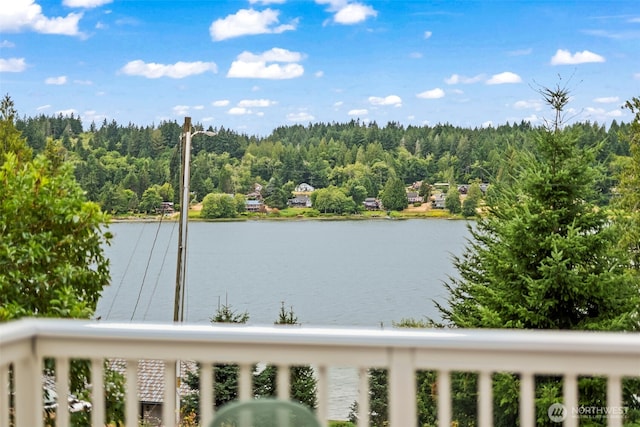 6710 149th Street Ct, Gig Harbor, WA 98332 - photo 18