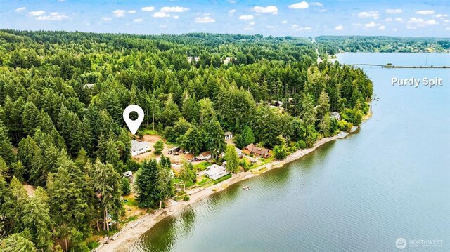 6710 149th Street Ct, Gig Harbor, WA 98332 - photo 33
