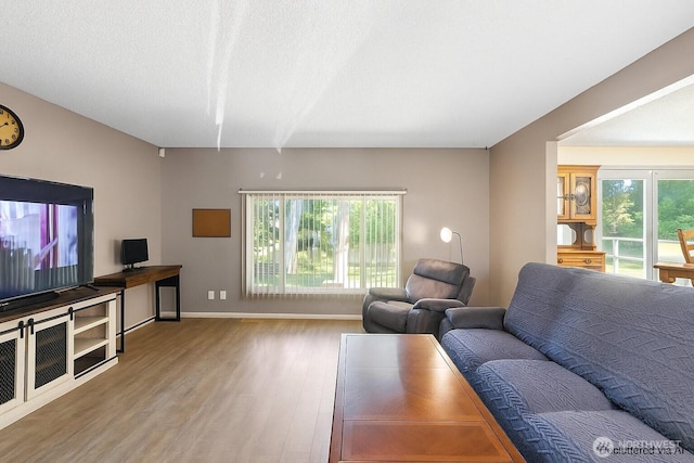 230 SE 8th Ave, Oak Harbor, WA 98277 - photo 4