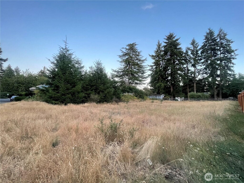 6830 Pleasant St SW, Lakewood, WA 98498 - photo 2