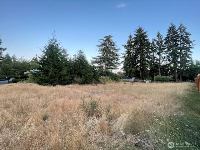 6830 Pleasant St SW, Lakewood, WA 98498 - photo 2