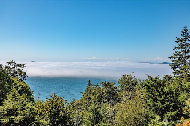 4112 Edith Point Rd, Anacortes, WA 98221 - photo 2