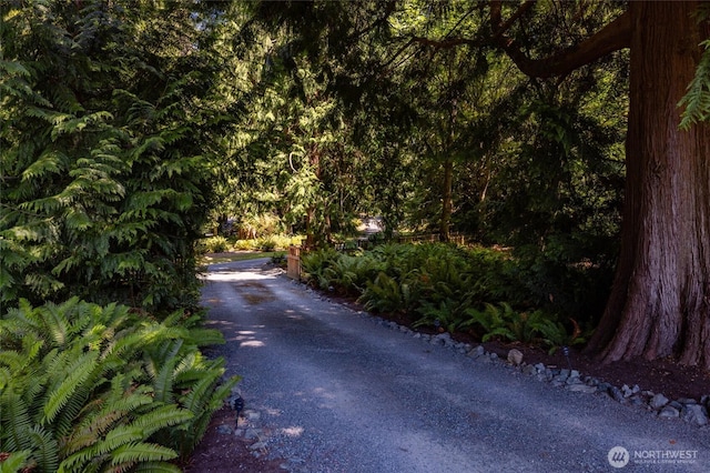 4112 Edith Point Rd, Anacortes, WA 98221 - photo 36