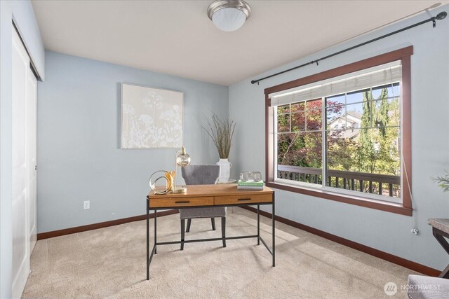 1508 71st Ave SE, Lake Stevens, WA 98258 - photo 23