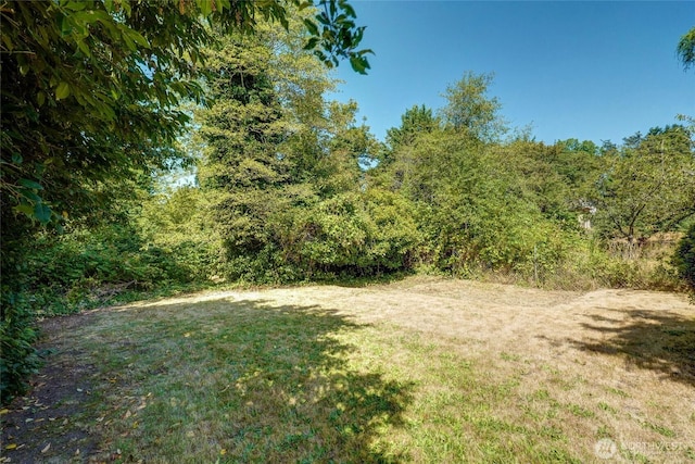 9345 37th Ave S, Seattle, WA 98118 - photo 35