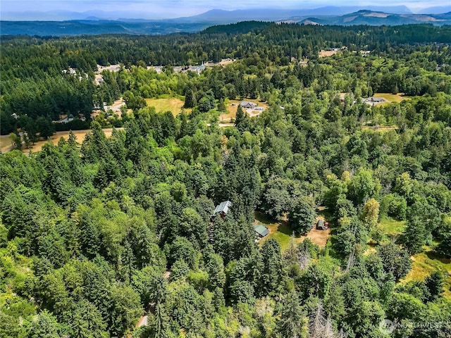 12401 217th St E, Graham, WA 98338 - photo 39