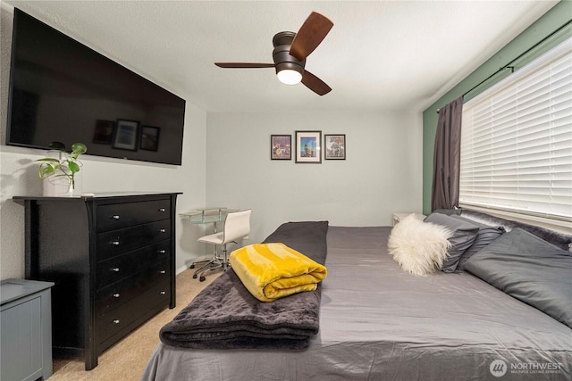 12517 134th Street Ct E, Puyallup, WA 98374 - photo 15