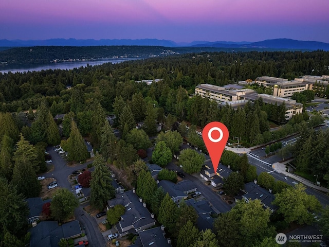 15900 NE 40th St Unit 32B, Redmond, WA 98052 - photo 35