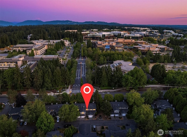 15900 NE 40th St Unit 32B, Redmond, WA 98052 - photo 36