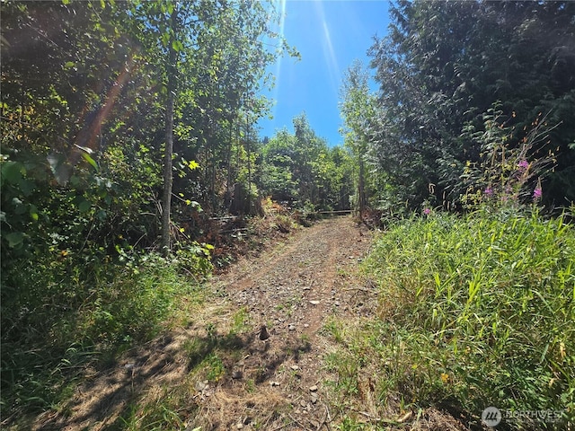 00 Highland Valley Rd, Morton, WA 98356 - photo 1