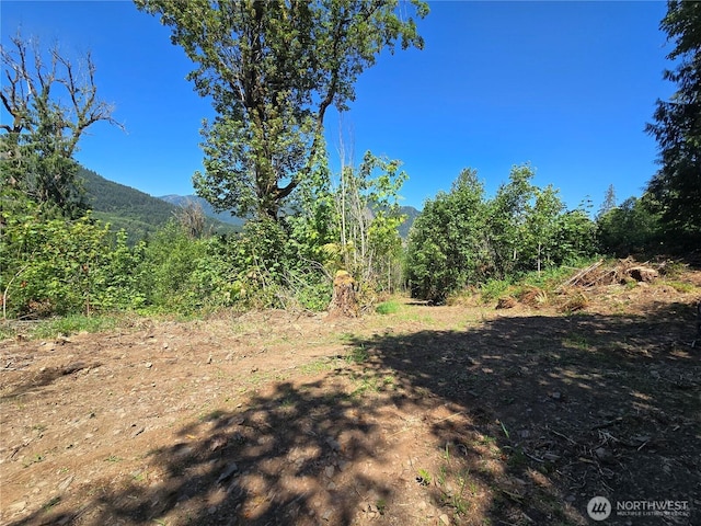 00 Highland Valley Rd, Morton, WA 98356 - photo 2