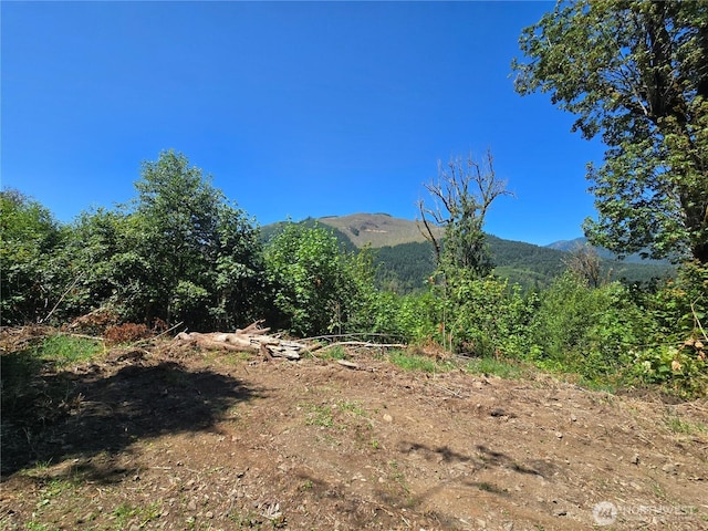 00 Highland Valley Rd, Morton, WA 98356 - photo 3