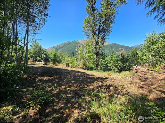 00 Highland Valley Rd, Morton, WA 98356 - photo 4